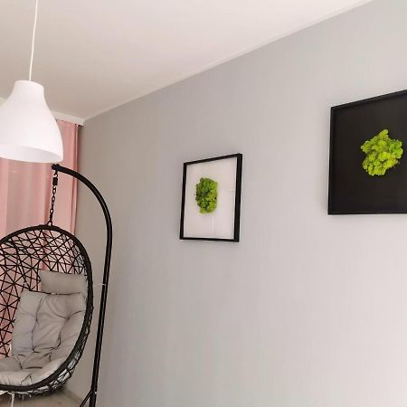 Green Apartment Promenada Gwiazd- Widok Na Morze. 米兹多洛杰 外观 照片