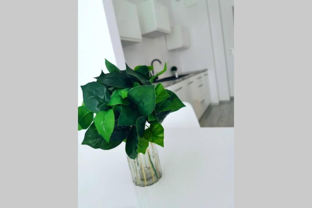 Green Apartment Promenada Gwiazd- Widok Na Morze. 米兹多洛杰 外观 照片