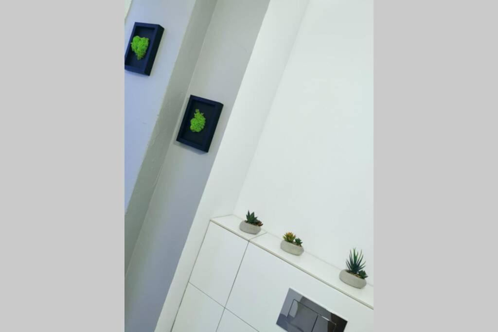 Green Apartment Promenada Gwiazd- Widok Na Morze. 米兹多洛杰 外观 照片